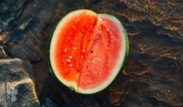 吃瓜养尸,揭秘神秘生物的生存之道