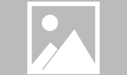 吃瓜小说女古代,吃瓜女侠的宫廷风云录