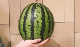 杀瓜中的吃瓜,揭秘网络舆论场的暗流涌动