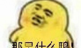 吃自己瓜表情包,揭秘“吃自己瓜”表情包的趣味与内涵