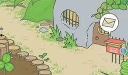 不会吃瓜的青蛙,揭秘不吃瓜的奥秘