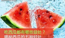 吃瓜的季节有什么好处,揭秘吃瓜季节的五大益处