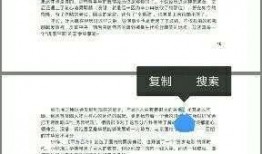 pdf版吃瓜,从网络热议到社会现象的演变