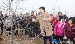 莱州驿道吃瓜事件,一场引发热议的网络奇谈