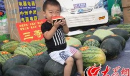 小家伙吃瓜,小家伙的夏日吃瓜盛宴