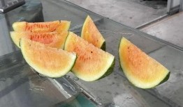 乡村怎样吃瓜,瓜果飘香，共享田园美味时光