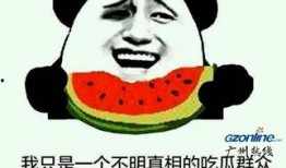 吃瓜吃的好难受,胃部不适的反思与调养之道
