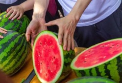 丽水学校吃瓜事件,校园风波背后的真相与反思