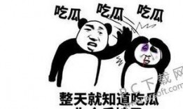 吃瓜群众是啥子意思,网络时代的围观者与传播者