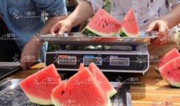 吃瓜大赛山东,瓜香四溢，欢乐满园
