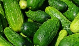 亮瓜吃瓜,揭秘瓜类美食的缤纷世界